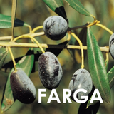  Aceite de Oliva Virgen Extra  L'Unic Farga 500 Years