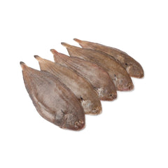 Wild Dover Sole - Lenguado  Salvaje (Spain)