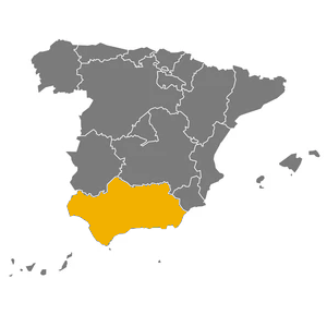  Aceite de Oliva Virgen Picual Elogio Cosecha Tempranaa