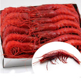 Wild Carabinero 16-20 PC Per Kg (Spain ) | Carabinero Salvaje 16-20 Uds/Kg  (España)