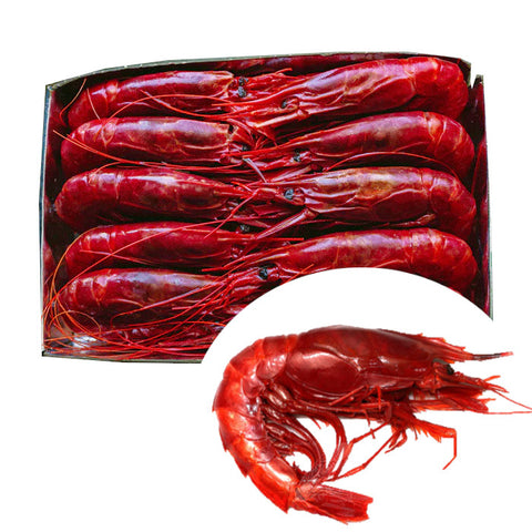 Wild Carabinero 10-12 Pc. - 1 Kg (Spain) | Carabinero Salvaje 10-12 Uds - 1 Kg (España)