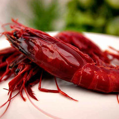 Wild Carabinero 8-10 Uds per Kg (Spain)| Carabinero Salvaje 8-10 per Kg ( España)