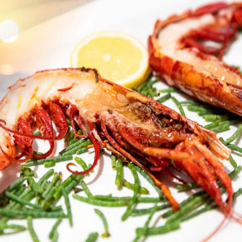 Wild Carabinero 10-12 Pc. - 1 Kg (Spain) | Carabinero Salvaje 10-12 Uds - 1 Kg (España)