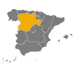 Iberico Cheese Three Milks | Queso Iberico Tres Leches