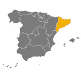 Extra Virgin Olive Oil Arbequina PDO  Mas Tarrés | Aceite de oliva extra virgen Arbequina Mas Tarrés